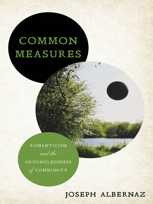 cover image of Common Measures
